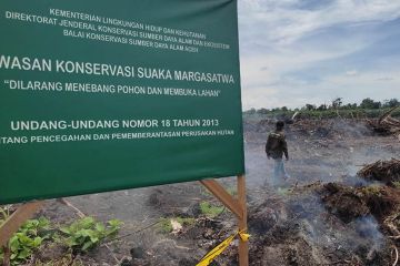 Lembaga konservasi di Aceh kampanyekan penyelamatan SM Rawa Singkil