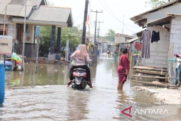 3.657 kepala keluarga di Kabupaten Bekasi terdampak banjir rob