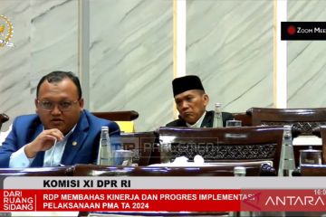 Anggota DPR: LPEI harus dukung UMKM di tengah China yang oversupply