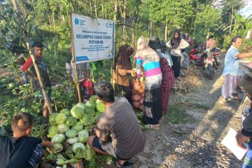 YBM PLN berikan bantuan 10 Desa Cahaya Sulselbar tingkatkan ekonomi 