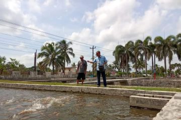 Pemkab Sleman tambah sumber air balai benih ikan tingkatkan produksi