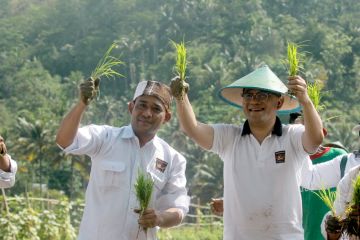 BP TASKIN bagikan benih padi unggul tangani kemiskinan berbasis desa