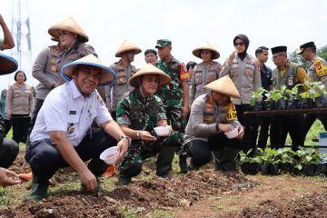 Forkopimko manfaatkan 1,5 hektare lahan kosong di Joglo Jakbar