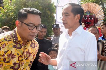 Jokowi telah bisikkan Pujakesuma untuk dukung pasangan RIDO