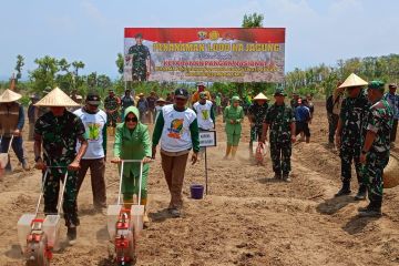 Pangdam Udayana tanam jagung di Lombok Timur wujudkan ketahanan pangan