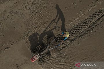 Realisasi perluasan areal tanam di Sultra