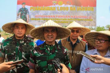 TNI AD tanam benih jagung pada lahan 1.000 hektare di Lombok Timur