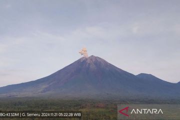 Gunung Semeru kembali erupsi dengan letusan setinggi 800 meter