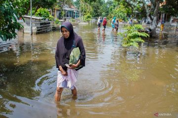 Banjir di Lumajang