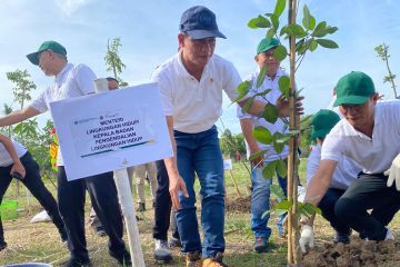 IKLH, Menteri Hanif ingatkan pemda tingkatkan ruang terbuka hijau