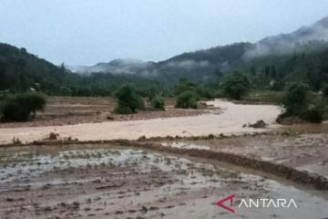 Empat kabupaten di Sumatera Barat dilanda banjir dan banjir bandang