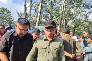 Wamendagri sebut pengungsi asal Flotim dapat coblos di TPS perbatasan