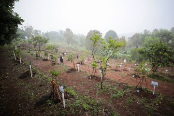 Konservasi Indonesia: Konservasi bisa berjalan bareng dengan wisata