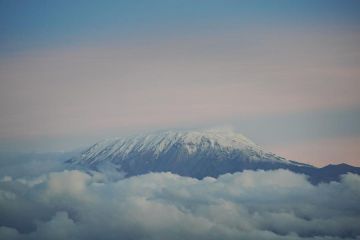 Tanzania akan gelar Festival Film Kilimanjaro untuk promosi film lokal