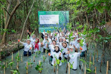 Braun Indonesia-Wastehub bersinergi tanam mangrove di Jakarta-Bali  