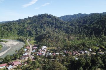 KKI Warsi-Pemprov Bengkulu manfaatkan dana GCF selamatkan hutan