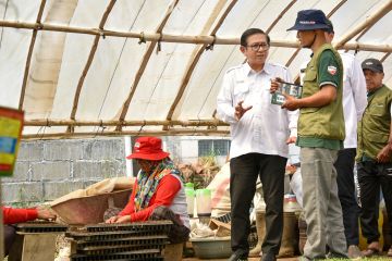 Program Tameng ubah Desa Tawangargo jadi pusat hortikultura modern