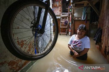 Kali Ciliwung meluap, 51 RT tergenang banjir