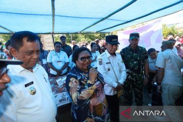 Wamendagri: Pelaksanaan Pilkada 2024 di Provinsi Papua kondusif