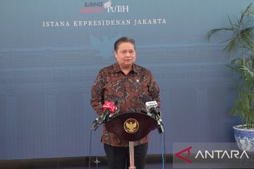 Airlangga sebut OECD mitra strategis RI mencapai target ekonomi 2025