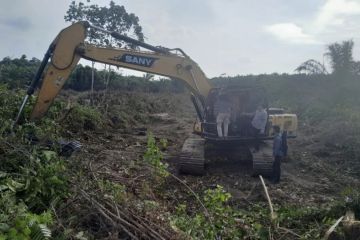 Polda Riau amankan dua perambah hutan lindung di Kampar