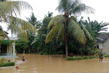 Ratusan rumah warga di tiga desa di Jember terendam banjir