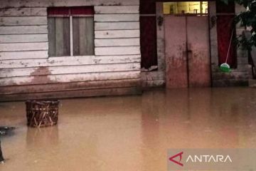 BPBD: Puluhan rumah di Aceh Timur terendam banjir