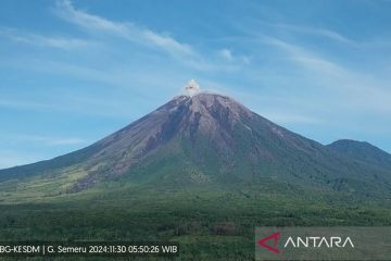 Gunung Semeru kembali erupsi pada Sabtu pagi