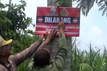 Perhutani tertibkan pemanfaatan lahan hutan di lereng Gunung Semeru