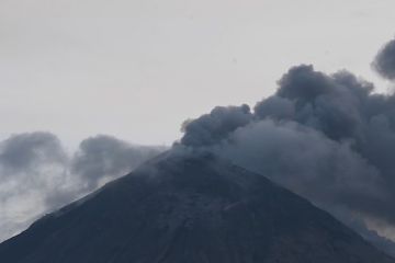 Badan Geologi perluas radius bahaya Lewotobi Laki-laki jadi 8 km