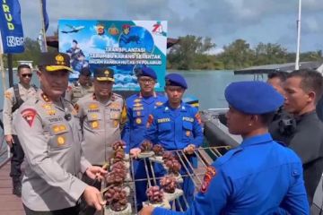 Polda Banten transplantasi 1.088 terumbu karang di perairan Sangiang