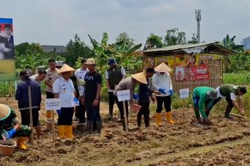 Polres dan Pemkot Tangerang garap 4,5 hektar lahan tidur