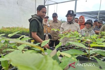 Kemenhut hutankan kembali 1.800 hektare kawasan Kota Nusantara