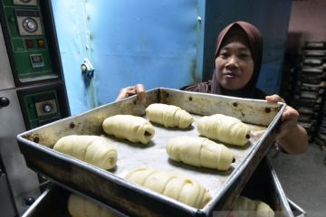 Kredit perbankan Lampung meningkat