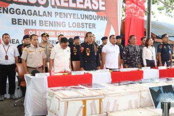 Satgas illegal fishing gagalkan penyelundupan 715 ribu benih lobster