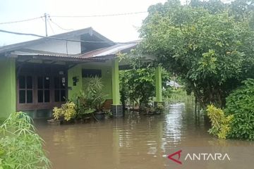 BPBD: 473 KK di Kota Bengkulu terdampak banjir, satu pohon tumbang