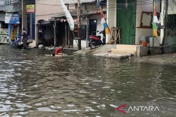 BPBD Jakarta : Dua RT di Jakarta Utara terendam banjir rob