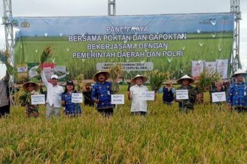 Program FEP tingkatkan produktivitas padi petani