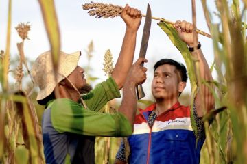 Fokus lingkungan, ini yang dilakukan Kilang Pertamina Internasional