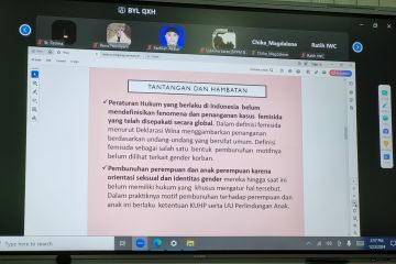 Pemberitaan femisida dinilai kurang sensitif terhadap hak korban