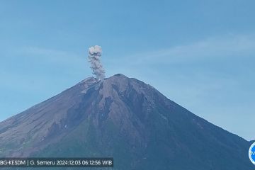 Gunung Semeru erupsi terus menerus pada Selasa pagi