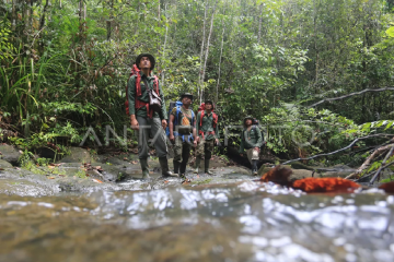 Ekolog: Hutan Aceh bernilai ekonomi Rp12 triliun per tahun