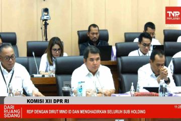 DPR apresiasi integrasi Grup MIND ID dan pengawalan proyek hilirisasi