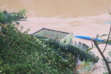 Distan Lebak lakukan pendataan areal tanaman padi terdampak banjir 