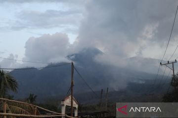 Kemarin, Penanganan pengungsi erupsi Lewotobi – tunjangan guru 2025