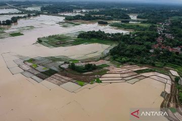 Sekitar 25 hektare sawah di Kabupaten Serang terendam banjir