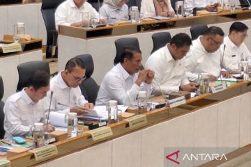 Mentan usulkan reprioritasi anggaran 2025 dukung swasembada pangan