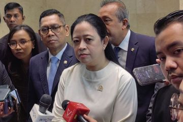 Puan: Bedakan pertemuan pribadi atau partai soal Hasto-Felicia Tissue