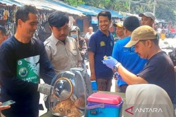 Cegah rabies, 5.033 hewan di Jakarta Pusat telah divaksin