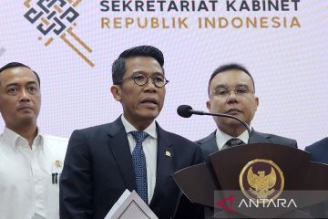 Presiden siapkan kajian PPN tidak hanya satu tarif